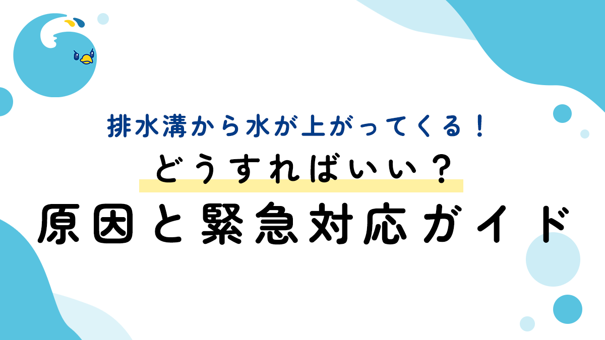 排水溝から水が上がってくる！どうすればいい？原因と緊急対応ガイド