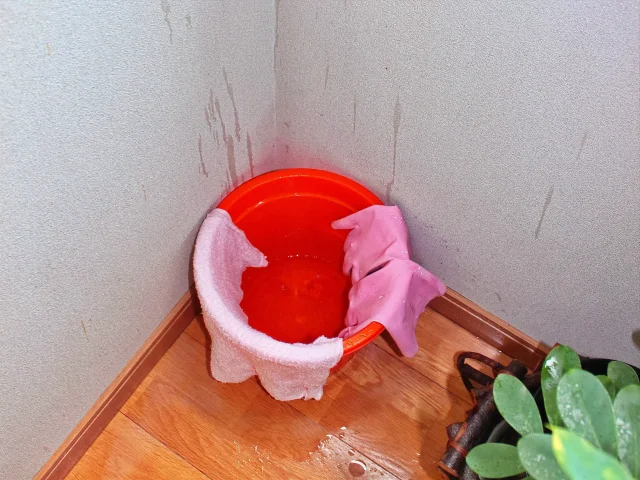 雨漏りや漏水の応急処置は?