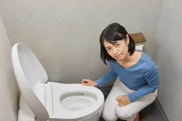トイレがしょっちゅう詰まるときの原因はどう見分ける?